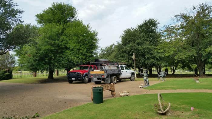 Aaron's Tree Service team in McKinney, TX
