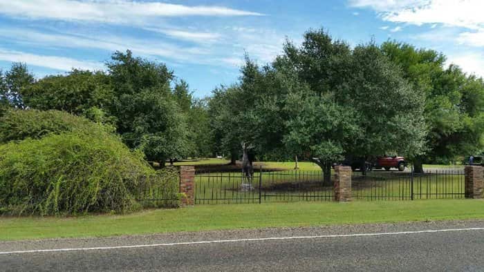 Completed tree service project