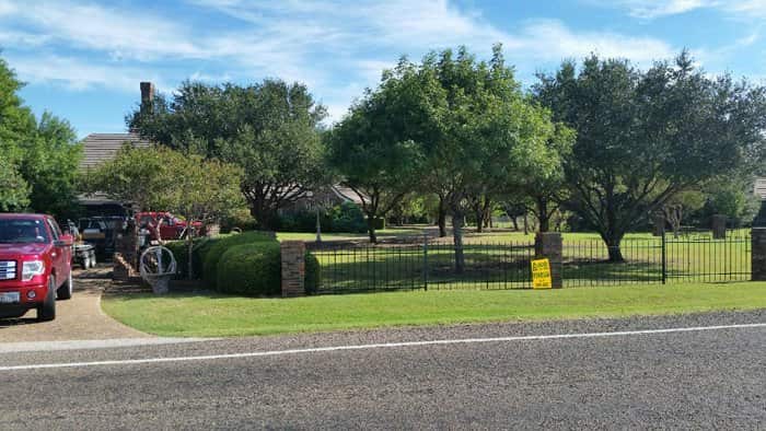 Tree removal work